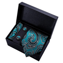 Gravata Estampada Conjunto Falco Lorennzi 16